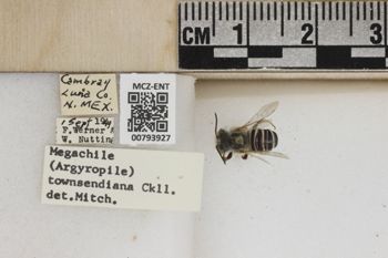 Media type: image;   Entomology 793927 Aspect: Labels